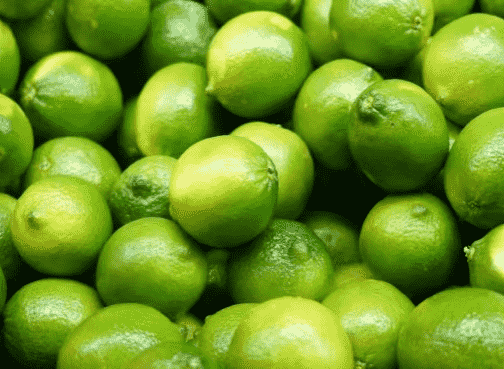 images/1697097139425Lime processing line.png